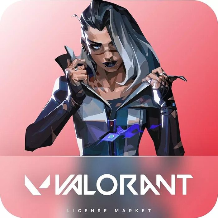 خرید ولورانت پوینت ارزان ( Valorant Point )